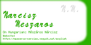 narcisz meszaros business card